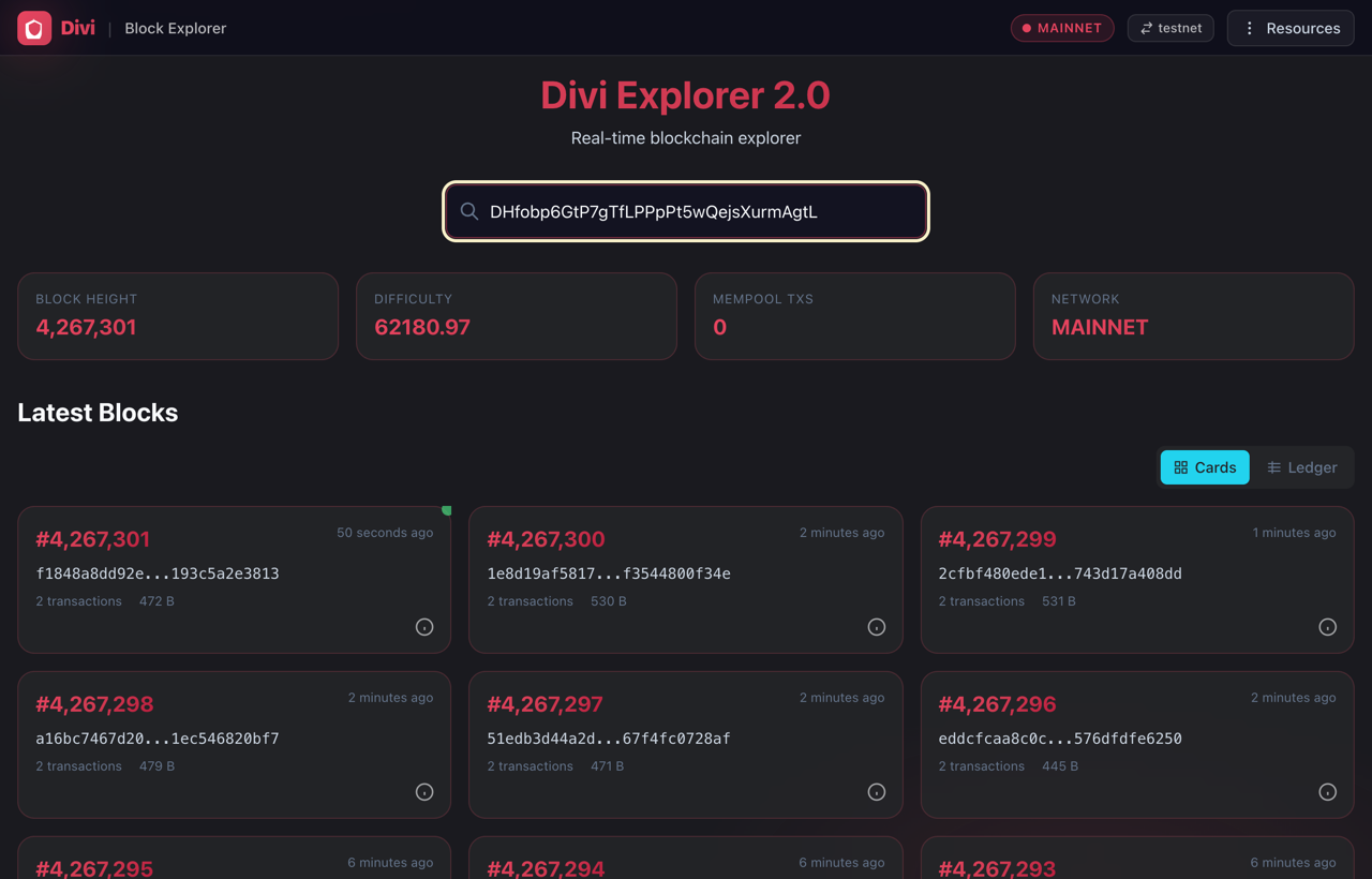 The Explorer 2.0 home page with a Divi address typed into the search box.